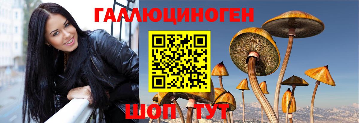 даркнет сайт  Вход с VPN  Ялуторовск  Псилоцибиновые грибы Psilocybe 